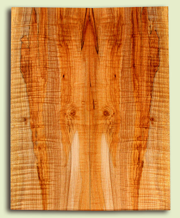 Maple Guitar or Bass Drop Top,  Figured.  2 panels, each 0.29" x 8.875" x 22.875" S2S
