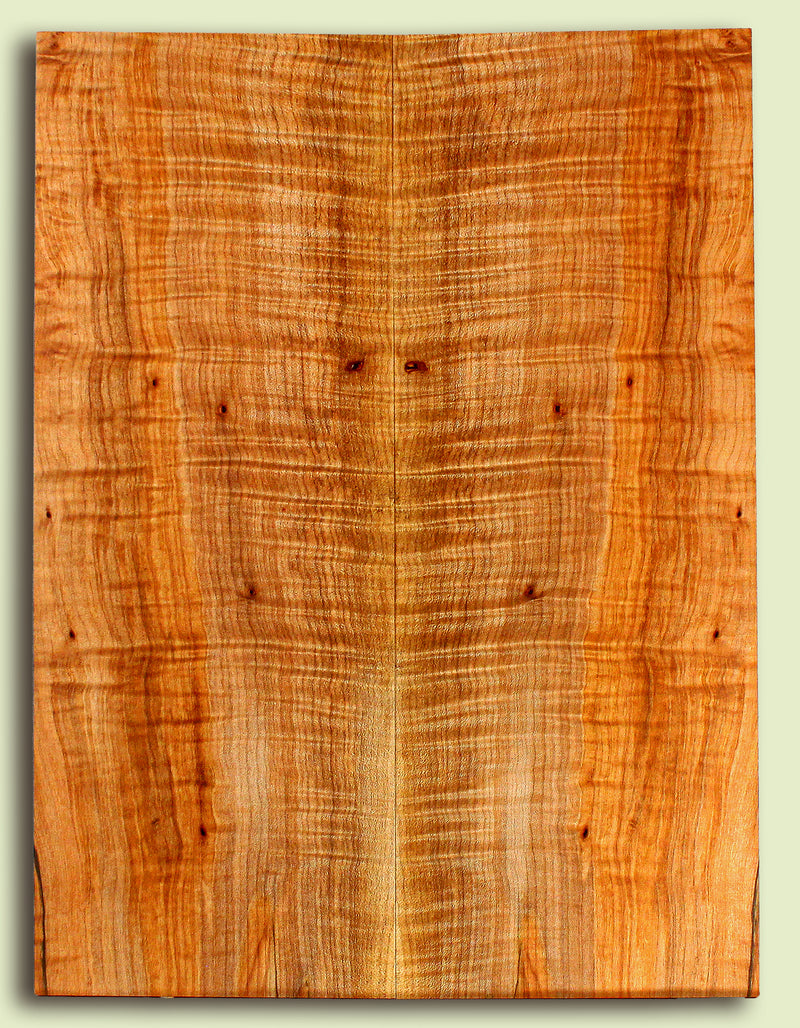 Maple Guitar or Bass Drop Top,  Figured.  2 panels, each 0.29" x 8.375" x 22.375" S2S