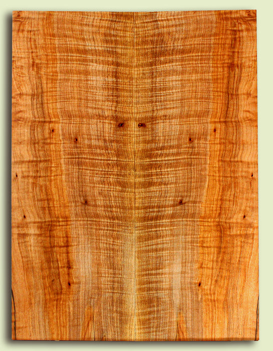 Maple Guitar or Bass Drop Top,  Figured.  2 panels, each 0.29" x 8.375" x 22.375" S2S
