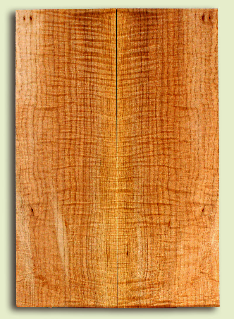 Maple Guitar or Bass Drop Top,  Figured.  2 panels, each 0.29" x 7.875" x 23.125" S2S