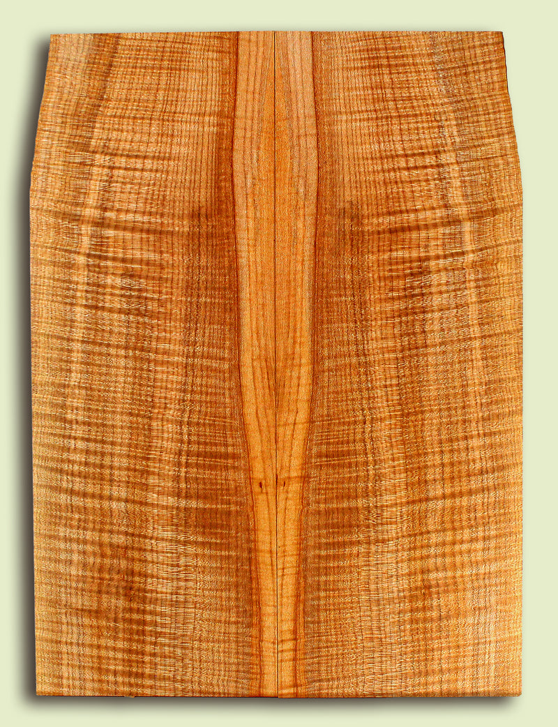 Maple Guitar or Bass Drop Top, Figured.   2 panels, each 0.29" x 8.625" x 23.5" S2S