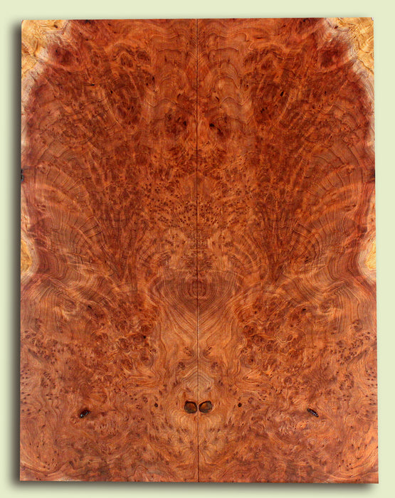 Curly Redwood Solid Body Guitar Drop Top Set, Birds Eye and Ribbon Figure