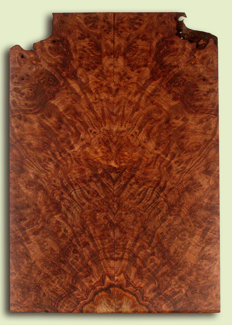Curly Redwood Solid Body Guitar Drop Top Set, Birds Eye and Ribbon Figure