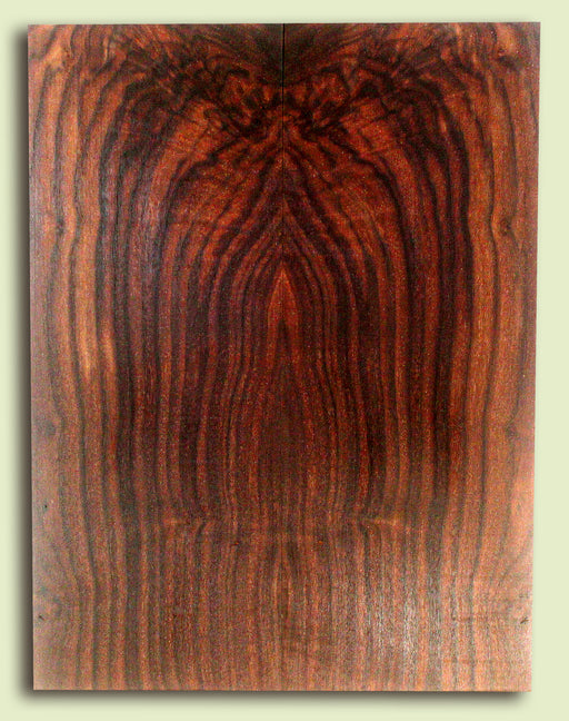 Claro Walnut Solid Body Guitar or Bass Drop Top Set, 2 panels, each 0.26" x 8.875" x 23.5" 