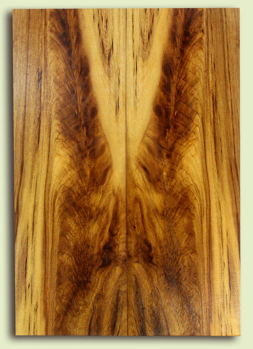 Myrtlewood Solid Body Guitar Drop Top Set, Good color and contrast, great figure