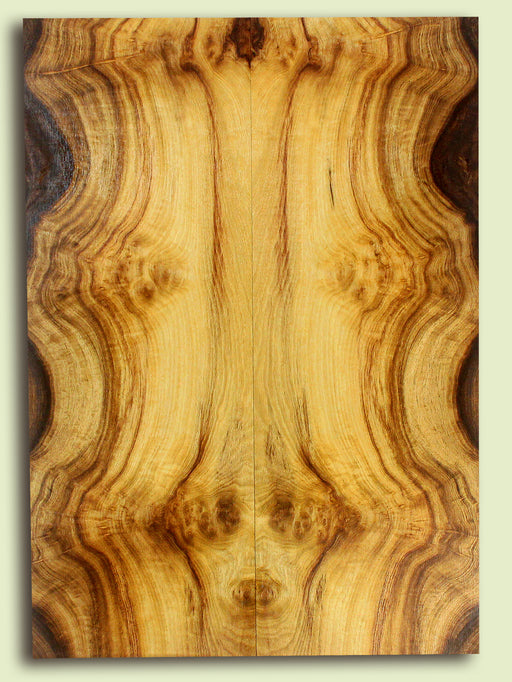 Myrtlewood Solid Body Guitar Drop Top Set, Amazing color, contrast, and figure 