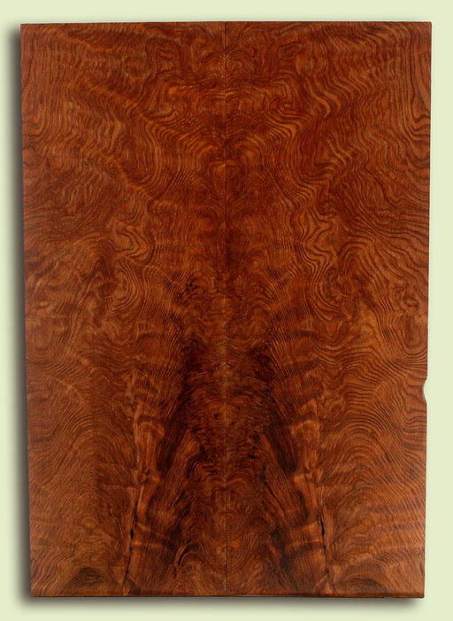 Curly Redwood Guitar or Bass Drop Top, 2 panels, each 0.26" x 8.5" x 22.5" S2S