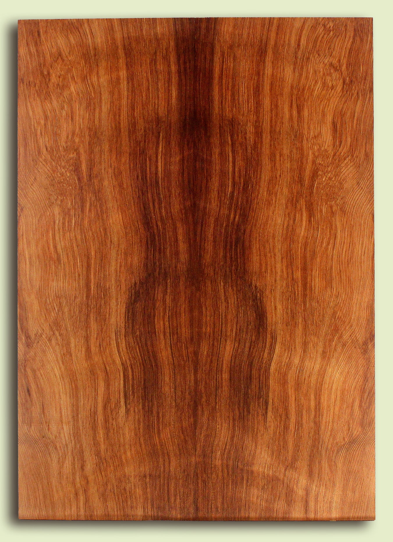 Solid Body Guitar Wood