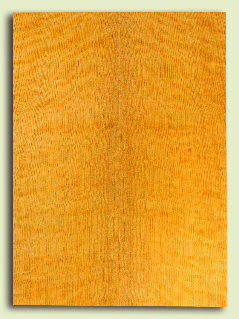 Port Orford Cedar Soundboard, Dreadnought size, Very Tight Grain, Increasingly Rare Tonewood