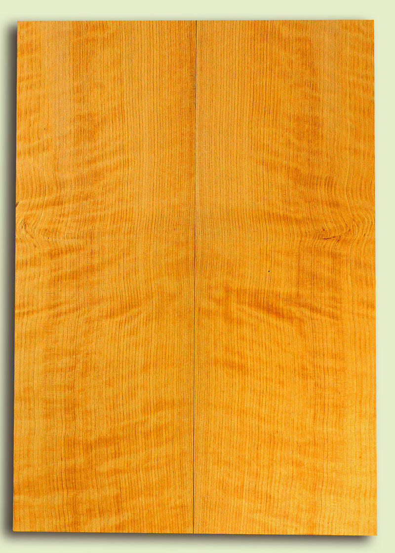 Port Orford Cedar Soundboard, Dreadnought size, Very Tight Grain, Increasingly Rare Tonewood