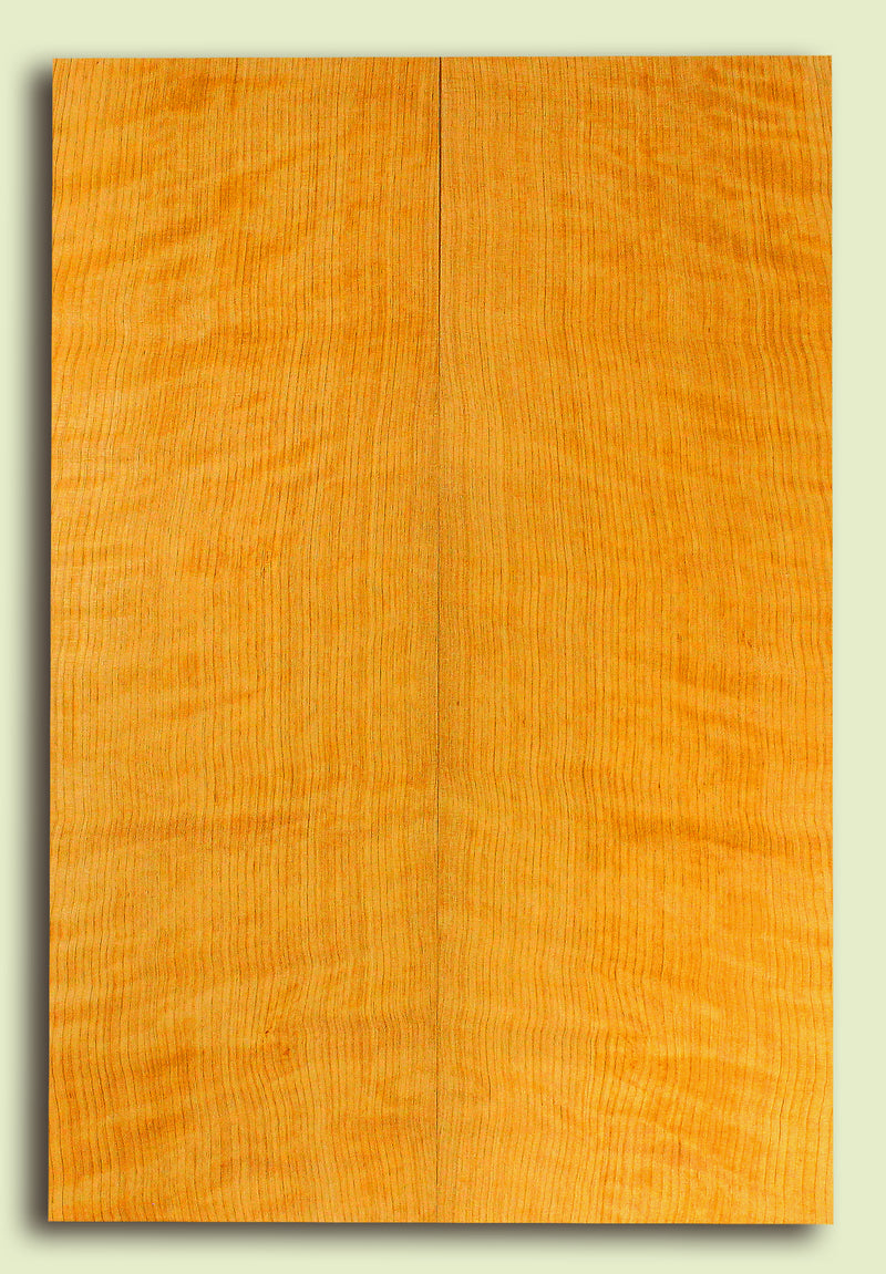 Port Orford Cedar Soundboard, Dreadnought size, Very Tight Grain, Increasingly Rare Tonewood