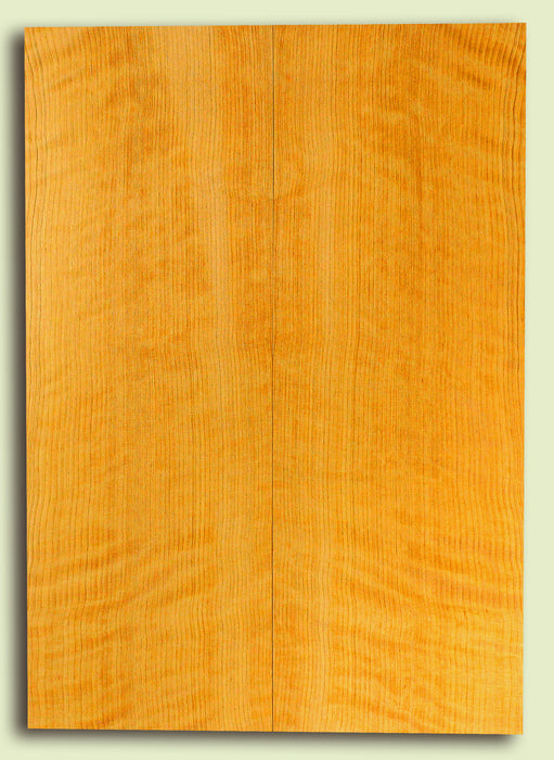 Port Orford Cedar Soundboard, Dreadnought size, Very Tight Grain, Increasingly Rare Tonewood