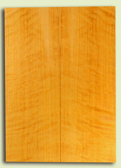 Port Orford Cedar Soundboard, Dreadnought size, Very Tight Grain, Increasingly Rare Tonewood