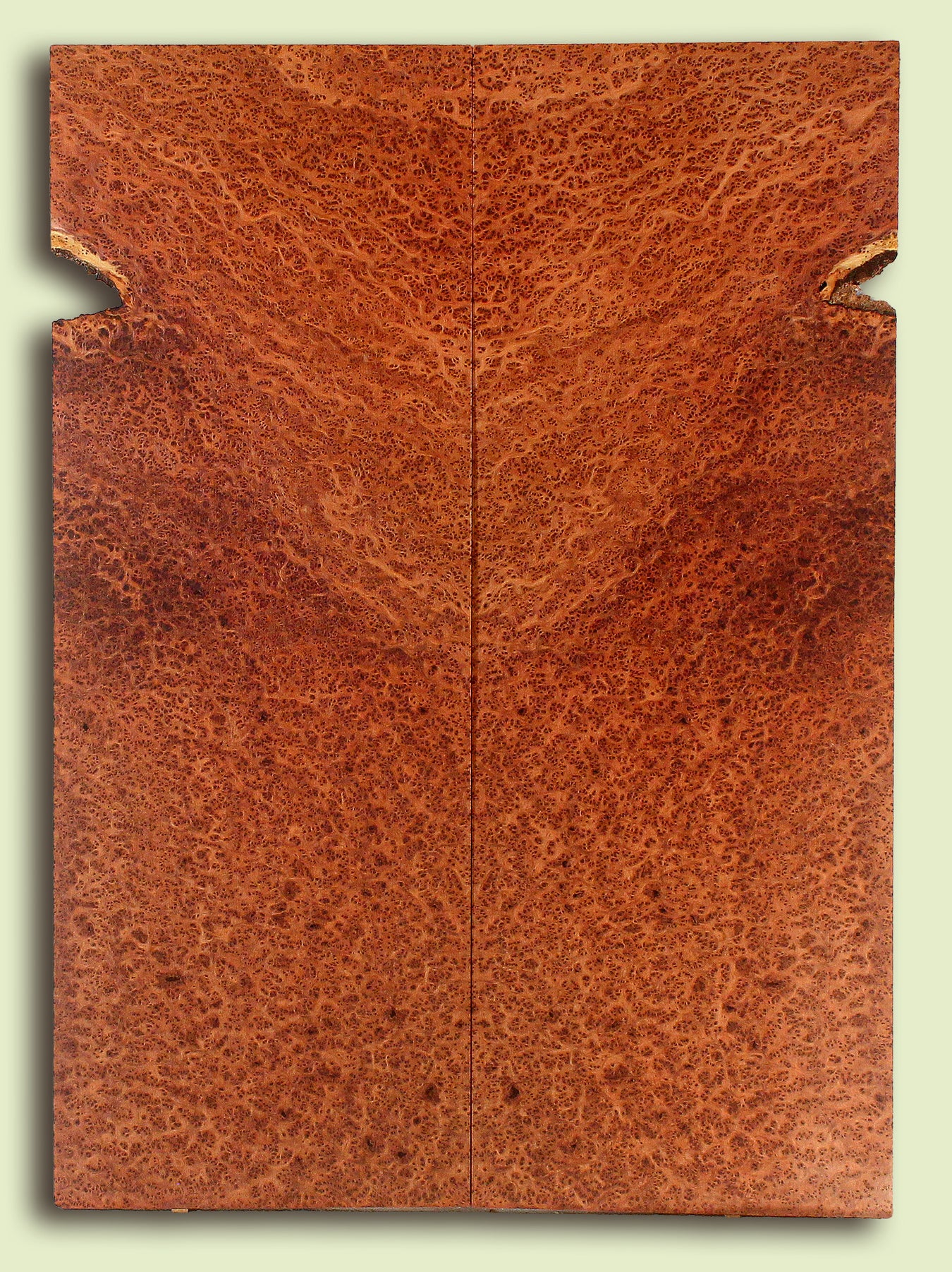 Solid Body Guitar Wood