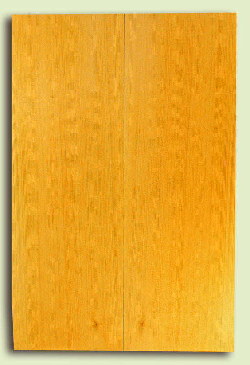 Alaska Yellow Cedar Sound Board, Classical Size 