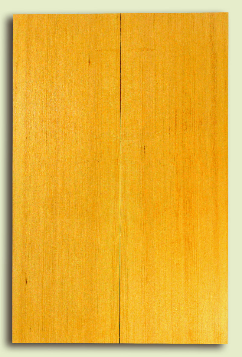Alaska Yellow Cedar Sound Board, Classical Size 