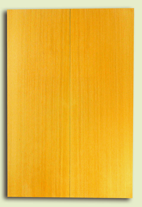 Alaska Yellow Cedar Sound Board, Classical Size 
