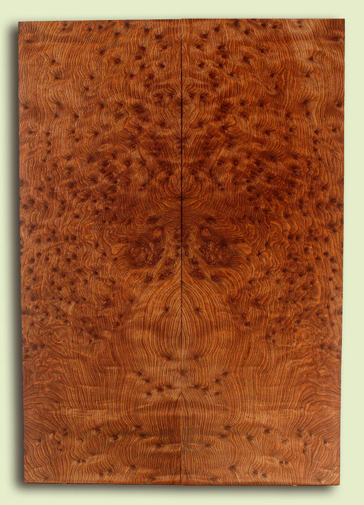 Curly Redwood Guitar Drop Top, Bird's Eye Figure, 1890's, 2 panels, each 0.27" x 8" x 23.5" S2S