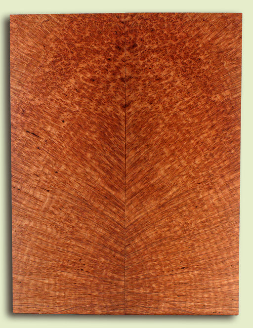 Redwood Solid Body Guitar Drop Top, Bird's Eye Figure, 2 panels, each 0.26" x 8.5" x 22.5" S2S