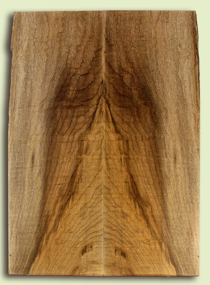 Myrtlewood Solid Body Guitar or Bass Droptop, 2 panels, each 0.27" x 8" x 22.25" S2S