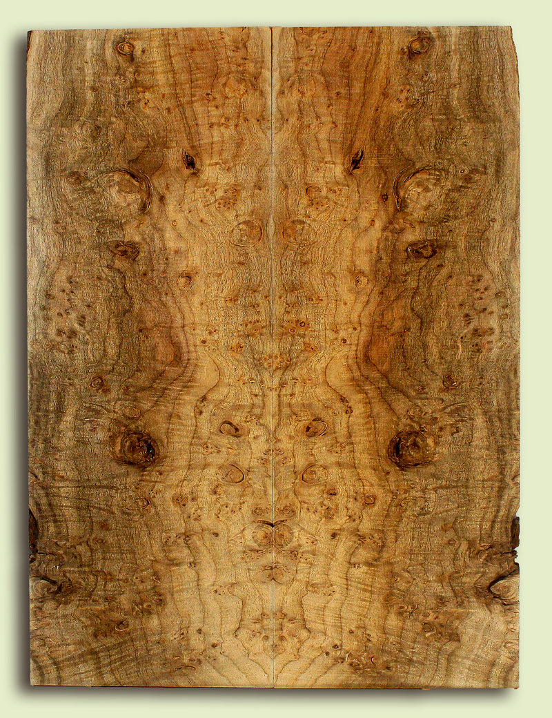 Myrtlewood Solid Body Guitar or Bass Droptop set.  2 panels, each 0.27" x 8.5" x 22.75" S2S
