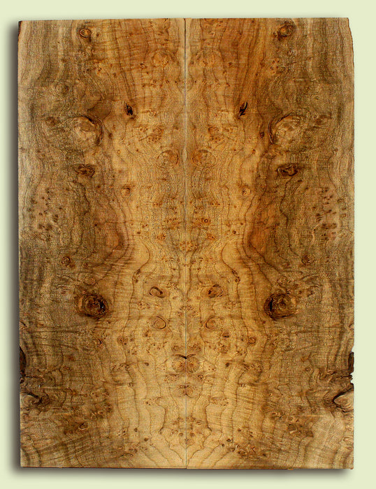 Myrtlewood Solid Body Guitar or Bass Droptop set.  2 panels, each 0.27" x 8.5" x 22.75" S2S