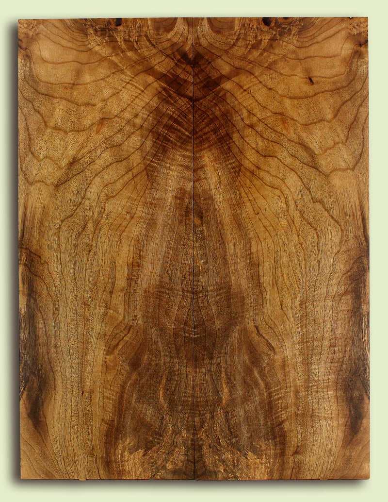 Myrtlewood  Guitar Drop Top, Nice Figure and Color, 2 panels, each 0.26" x 8.75" x 23.375" S2S