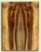Myrtlewood Guitar Drop Top, Nice Figure and Color, 2 panels, each 0.26" x 8.75" x 23.25" S2S