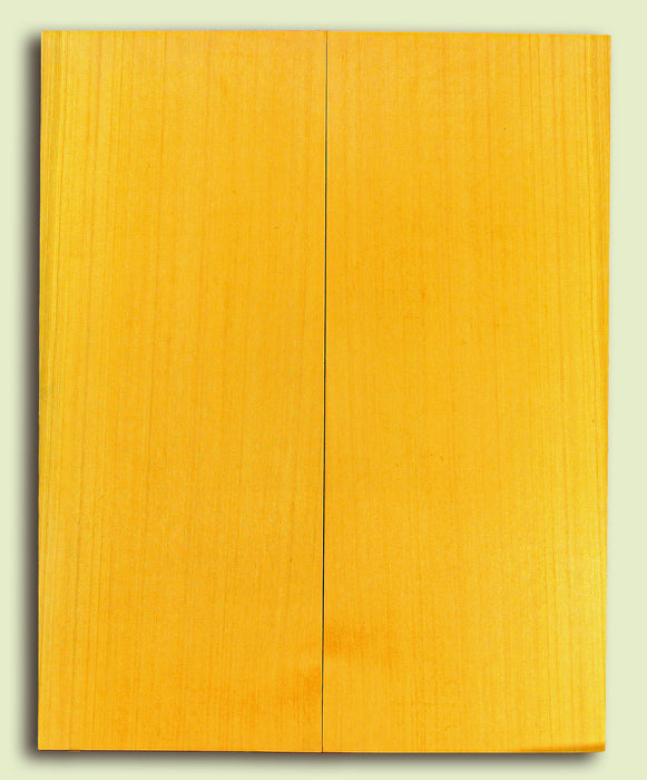 Alaska Yellow Cedar Soundboard, Extra Dreadnought, 2 panels, each 0.18" x 9.375" x 23.75 S2S