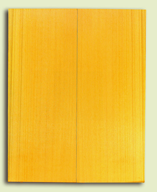 Alaska Yellow Cedar Soundboard, Extra Dreadnought, 2 panels, each 0.18" x 9.375" x 23.75 S2S