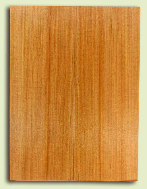 Western Redcedar Soundboard, Dreadnought, Fine Grain, 2 panels, each 0.18" x 8.75" x 23.75" S2S