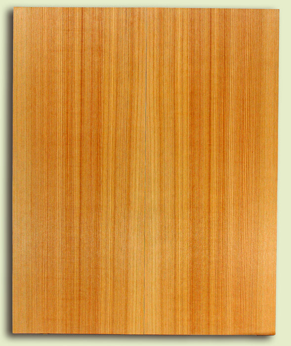 Western Redcedar Soundboard, Dreadnought, Fine Grain, 2 panels, each 0.18" x 9.625" x 23.5" S2S