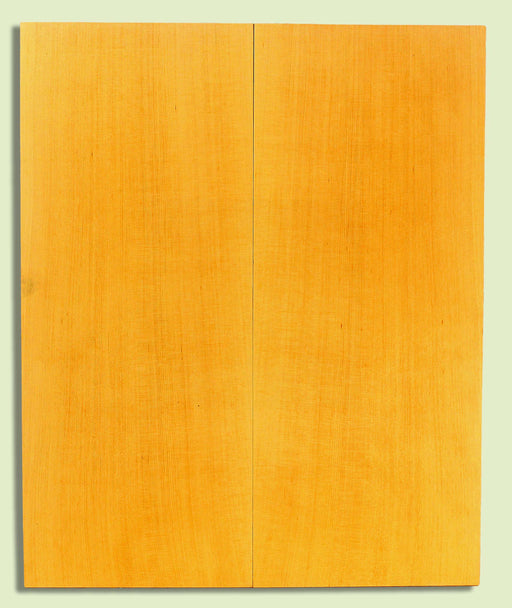 Alaska Yellow Cedar Soundboard, Tight Grain 