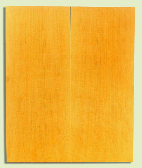Alaska Yellow Cedar Soundboard, Tight Grain 