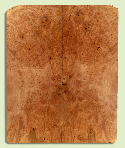 Maple Guitar Fat Drop Top, Figured,  2 panels, each 0.43" x 9.5" x 23.5"