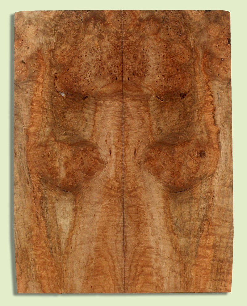 Maple Guitar Drop Top, Great Figure,  2 panels, each 0.24" x 9" x 23"