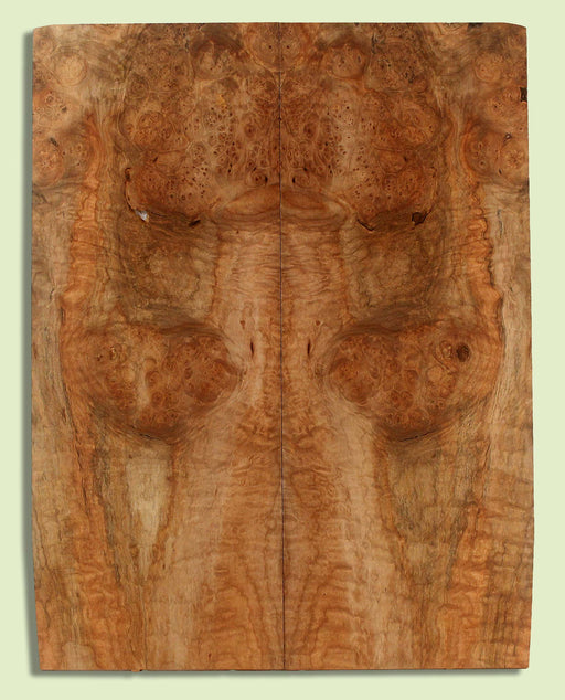 Maple Guitar Drop Top, Great Figure,  2 panels, each 0.24" x 9" x 23"