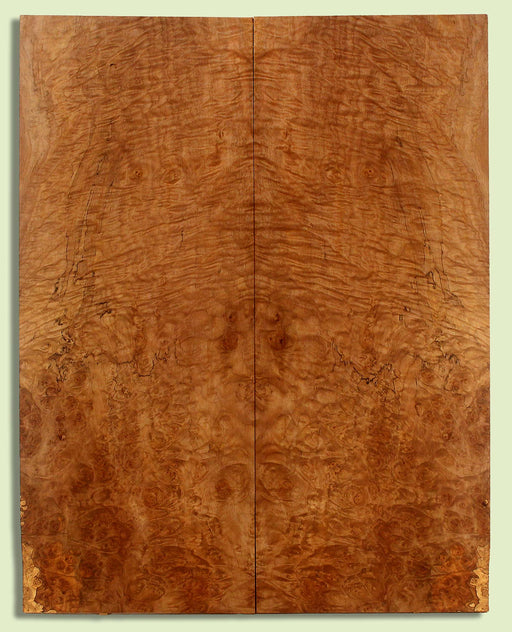 Maple Guitar Drop Top, Great Figure,  2 panels, each 0.26" x 8.5" x 21.625"