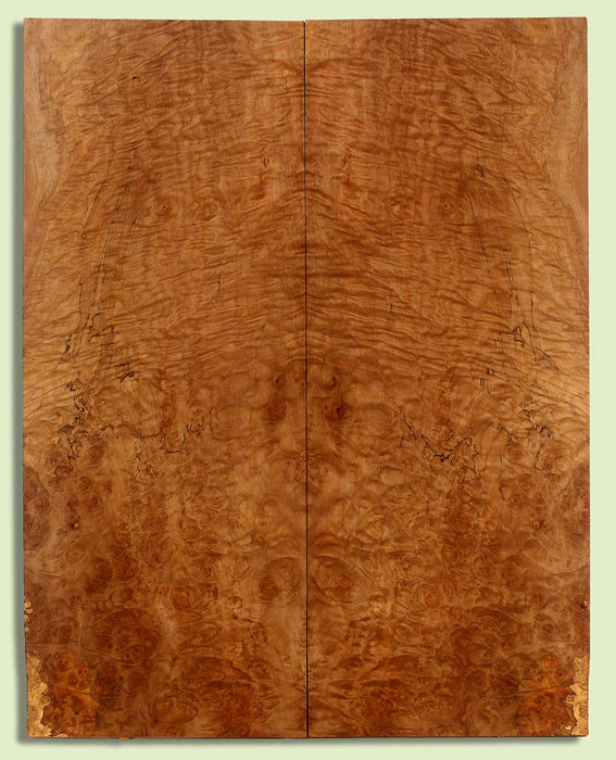 Maple Guitar Drop Top, Great Figure,  2 panels, each 0.26" x 8.5" x 21.625"