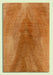 Maple Guitar Extra Fat Drop Top, Nice Figure,  2 panels, each 0.50" x 7.5" x 23"