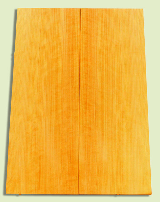 Port Orford Cedar Soundboard, Dreadnought, Fine Grain,  2 panels, each 0.18" x 8 to 9.5" x 23.75"  S2S
