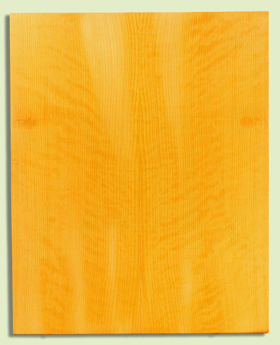 Port Orford Cedar Soundboard, Dreadnought, Fine Grain,  2 panels, each 0.18" x 9.5" x 23.75" S2S