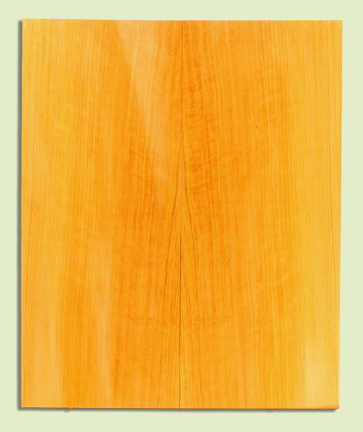 POC Guitar Soundboard, Dreadnought, Fine Grain,  2 panels, each 0.18" x 9.75" x 23.5" S2S  