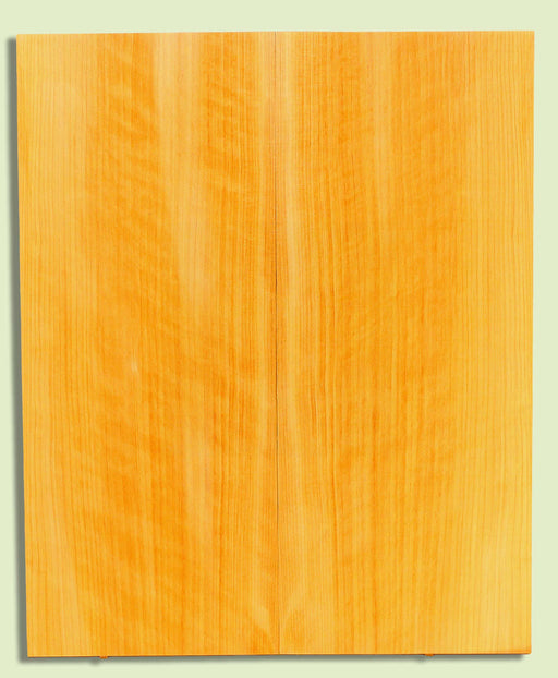 POC Guitar Soundboard, Dreadnought, Fine Grain,  2 panels, each 0.18" x 9.75" x 23.5" S2S  