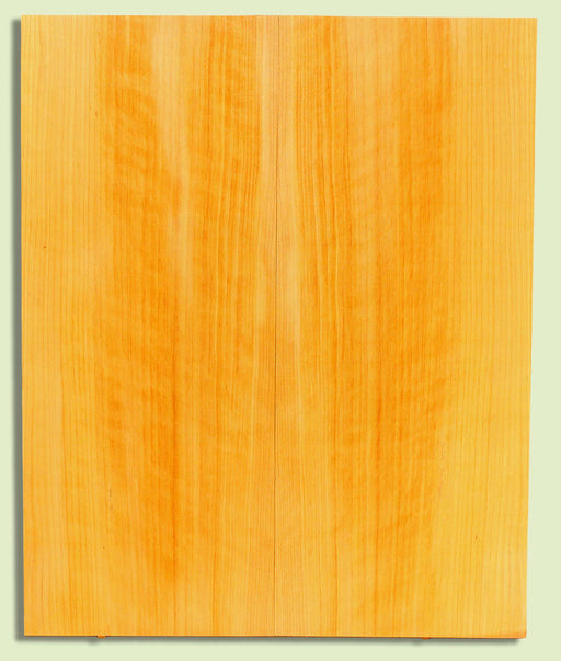POC Guitar Soundboard, Dreadnought, Fine Grain,  2 panels, each 0.18" x 9.75" x 23.5" S2S  