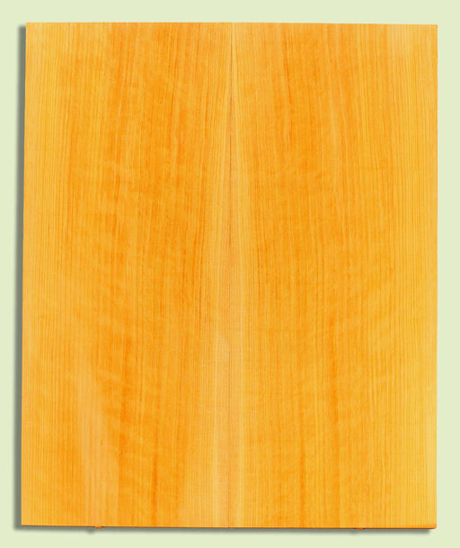 POC Guitar Soundboard, Dreadnought, Fine Grain,  2 panels, each 0.18" x 9.75" x 23.5" S2S  