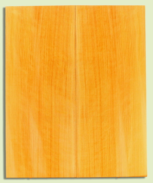 POC Guitar Soundboard, Dreadnought, Fine Grain,  2 panels, each 0.18" x 9.75" x 23.5" S2S  