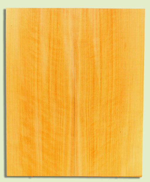 POC Guitar Soundboard, Dreadnought, Fine Grain,  2 panels, each 0.18" x 9.75" x 23.5" S2S  