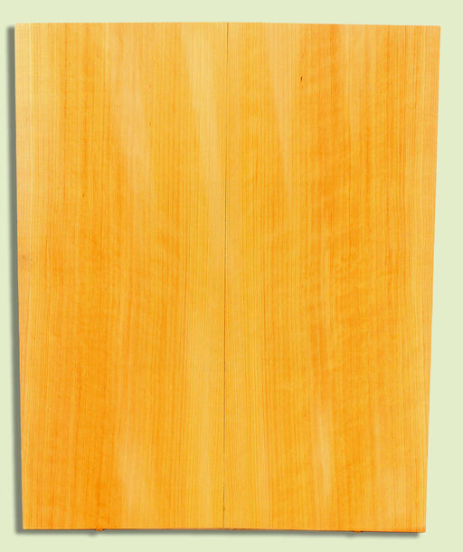 POC Guitar Soundboard, Dreadnought, Fine Grain,  2 panels, each 0.18" x 9.75" x 23.5" S2S  