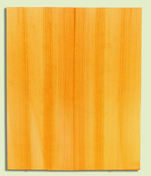 POC Guitar Soundboard, Dreadnought, Fine Grain,  2 panels, each 0.18" x 9.75" x 23.5" S2S  